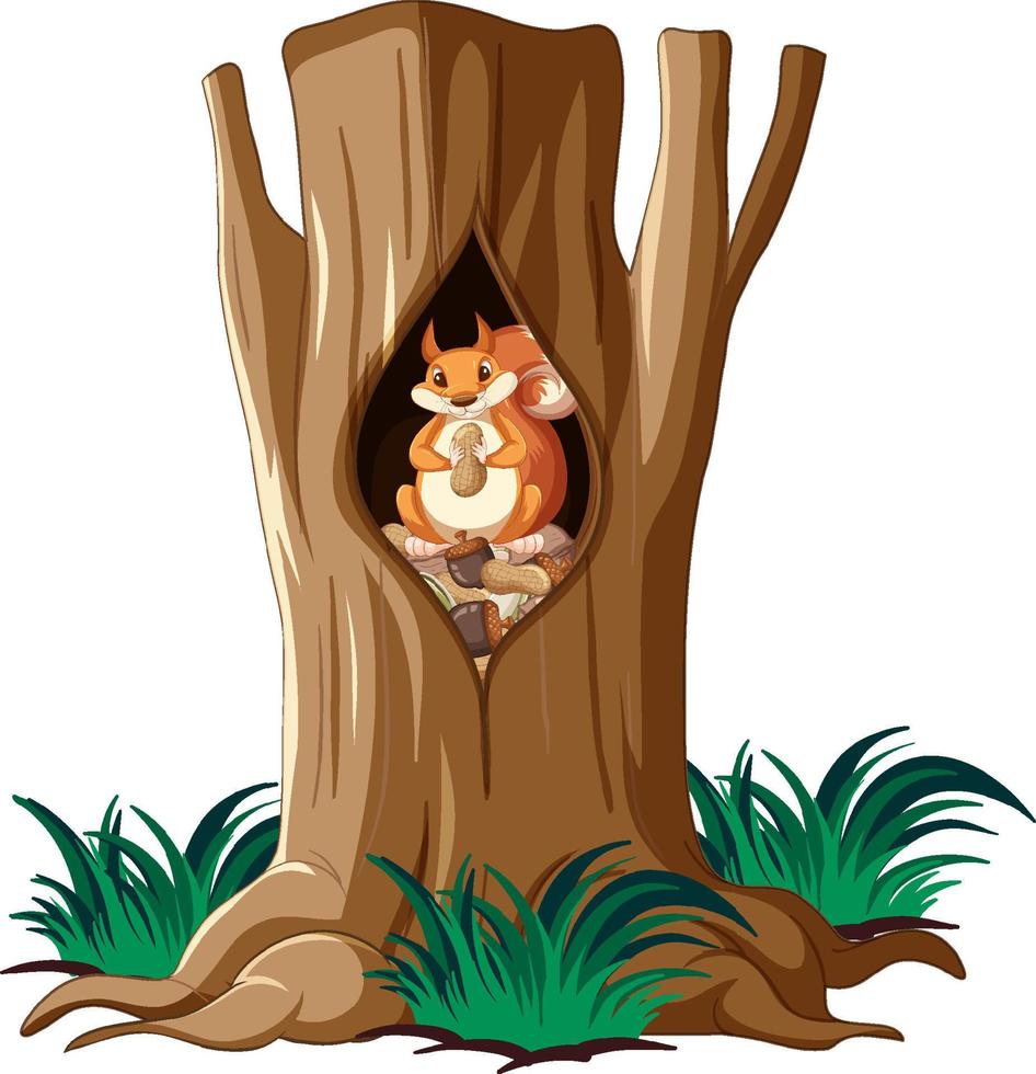 Cute squirrel eating nuts in hollow vector