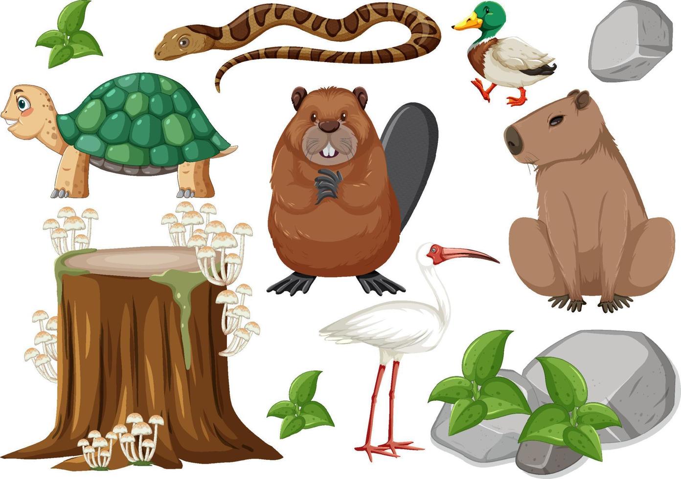 Different kinds of wild animals collection vector