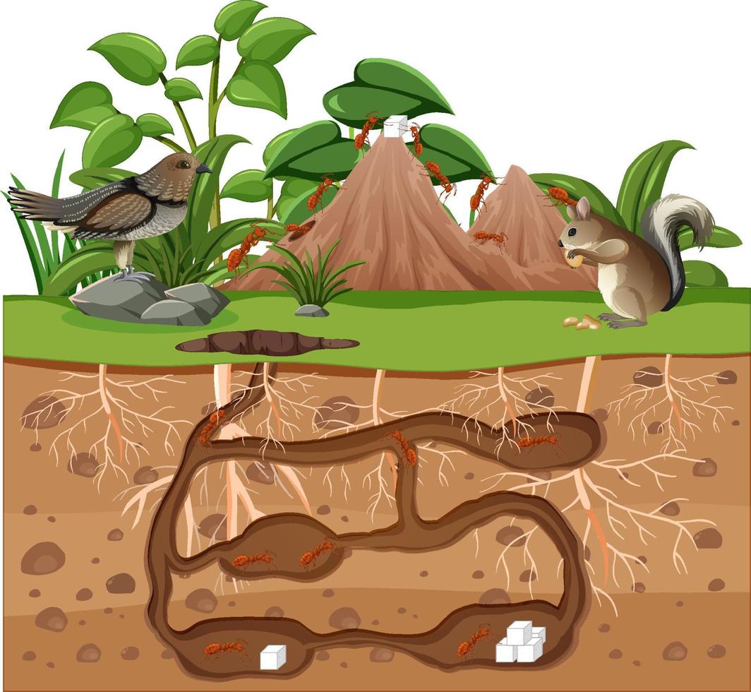 Underground animal hole in cartoon style 7585538 Vector Art at Vecteezy