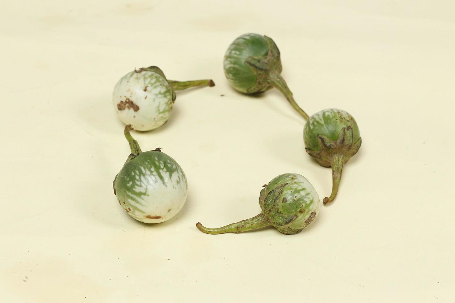 Eggplant is one of the vegetables in the form of fruit. Fruit-producing plants used as vegetables. Green eggplant is round and mini has a different taste from other eggplants. photo