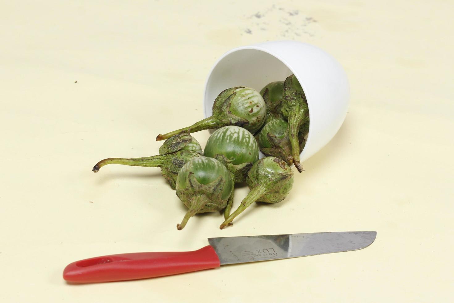 Eggplant is one of the vegetables in the form of fruit. Fruit-producing plants used as vegetables. Green eggplant is round and mini has a different taste from other eggplants. photo