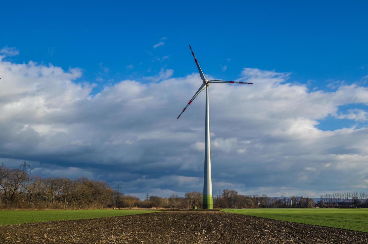 pinwheel on field photo