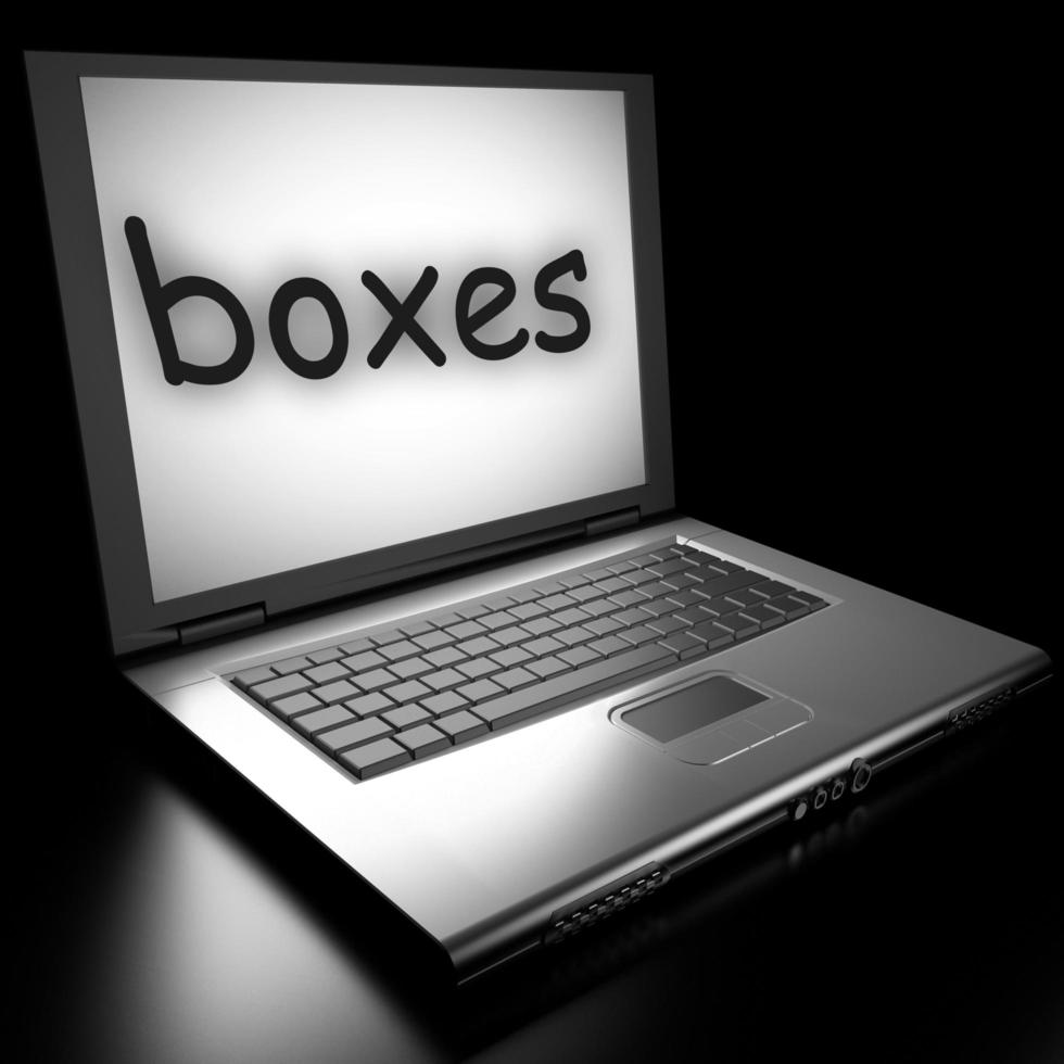 boxes word on laptop photo