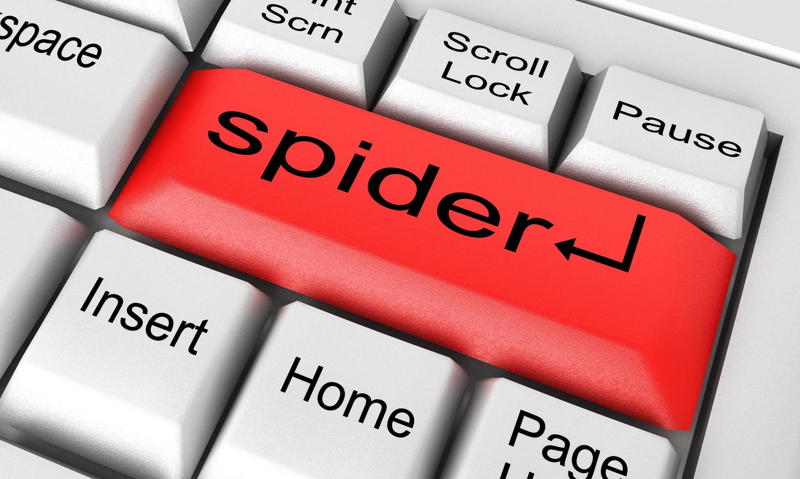 palabra araña en el teclado blanco foto