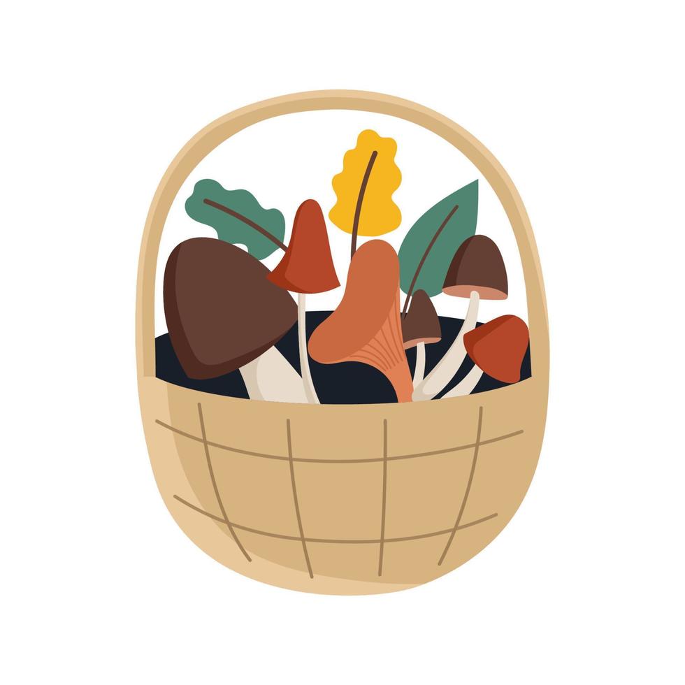 Basket with mushrooms vector