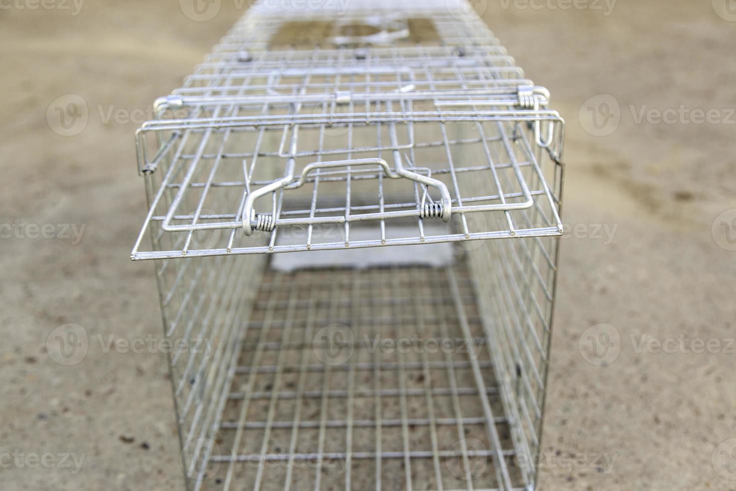 Empty cat cage photo