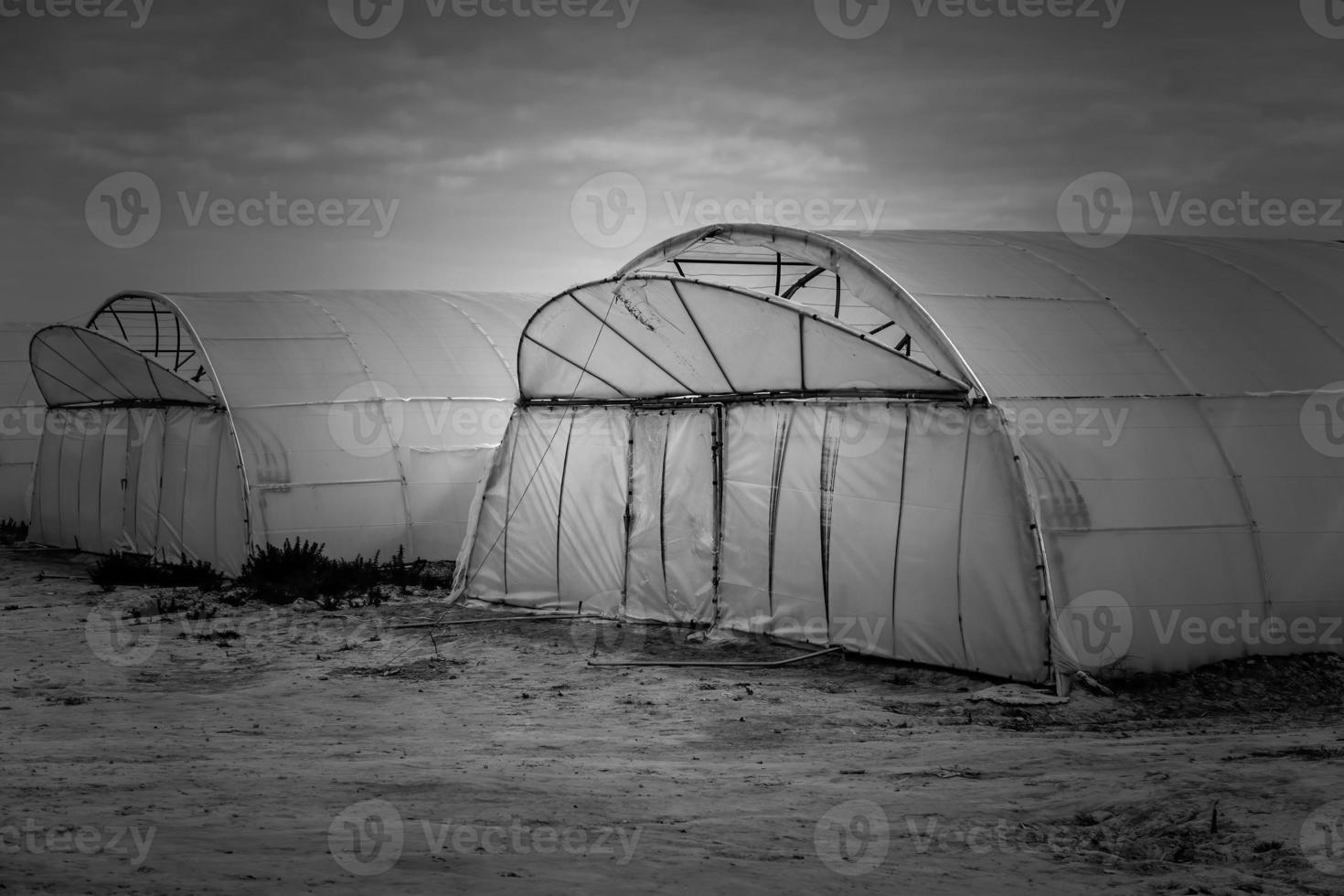 Plastic greenhouse in the field photo