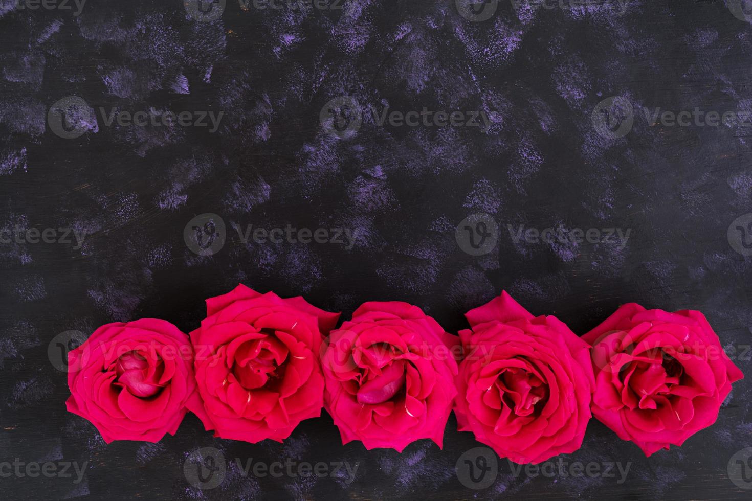 Pink roses on dark background. Top view photo