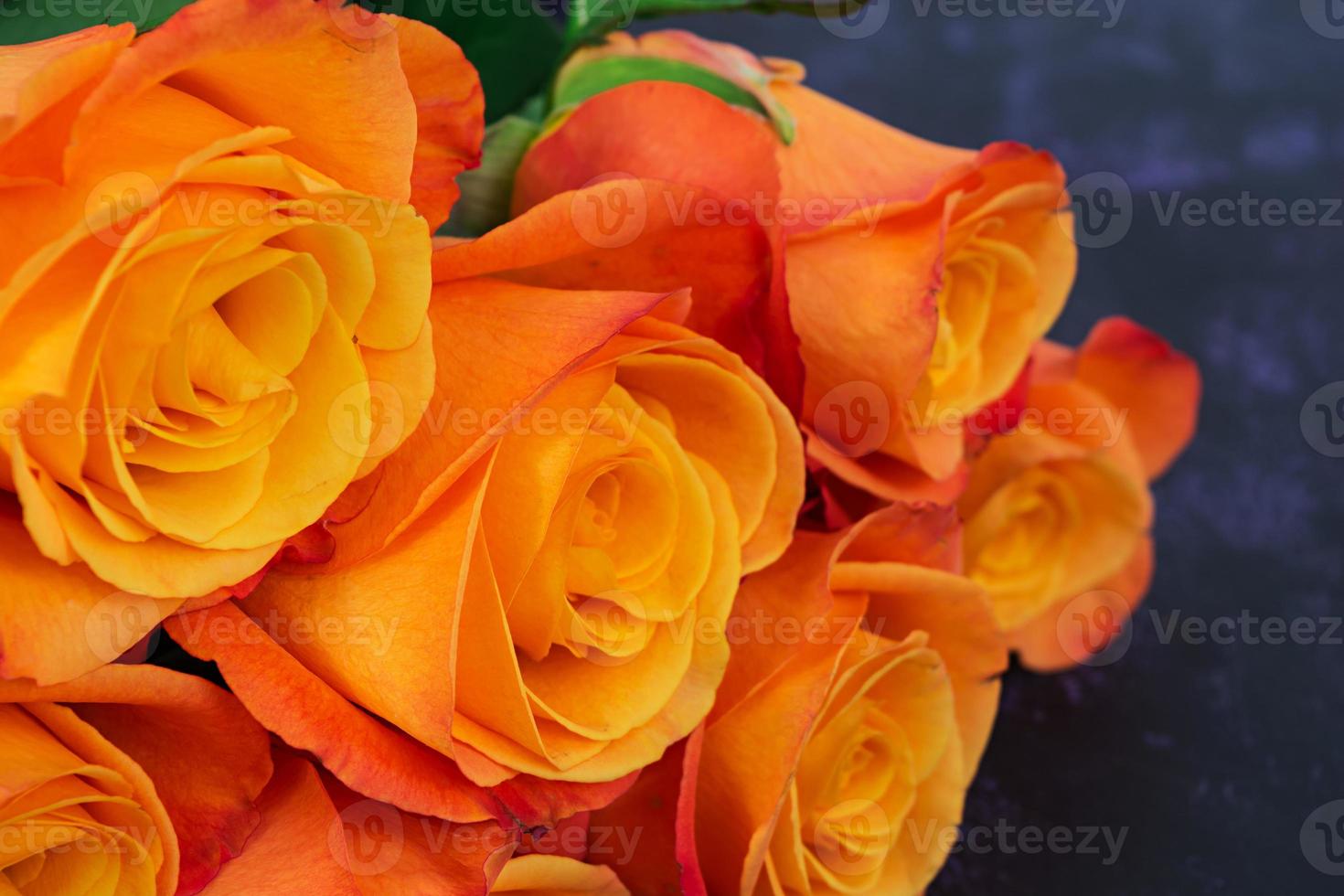 Bouquet of roses on a dark background photo