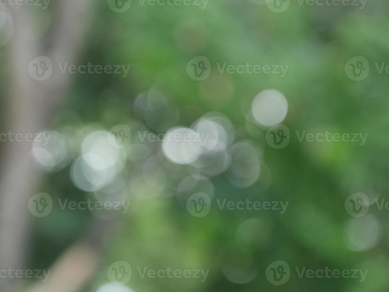 bokeh blurred out of focus background photo