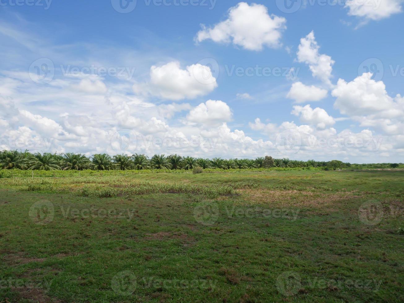 white clouds and sky photo