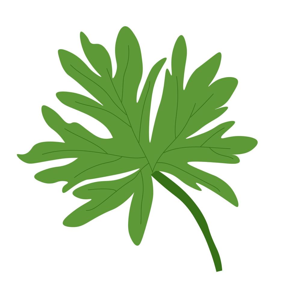 vector illustration of abstract leaf