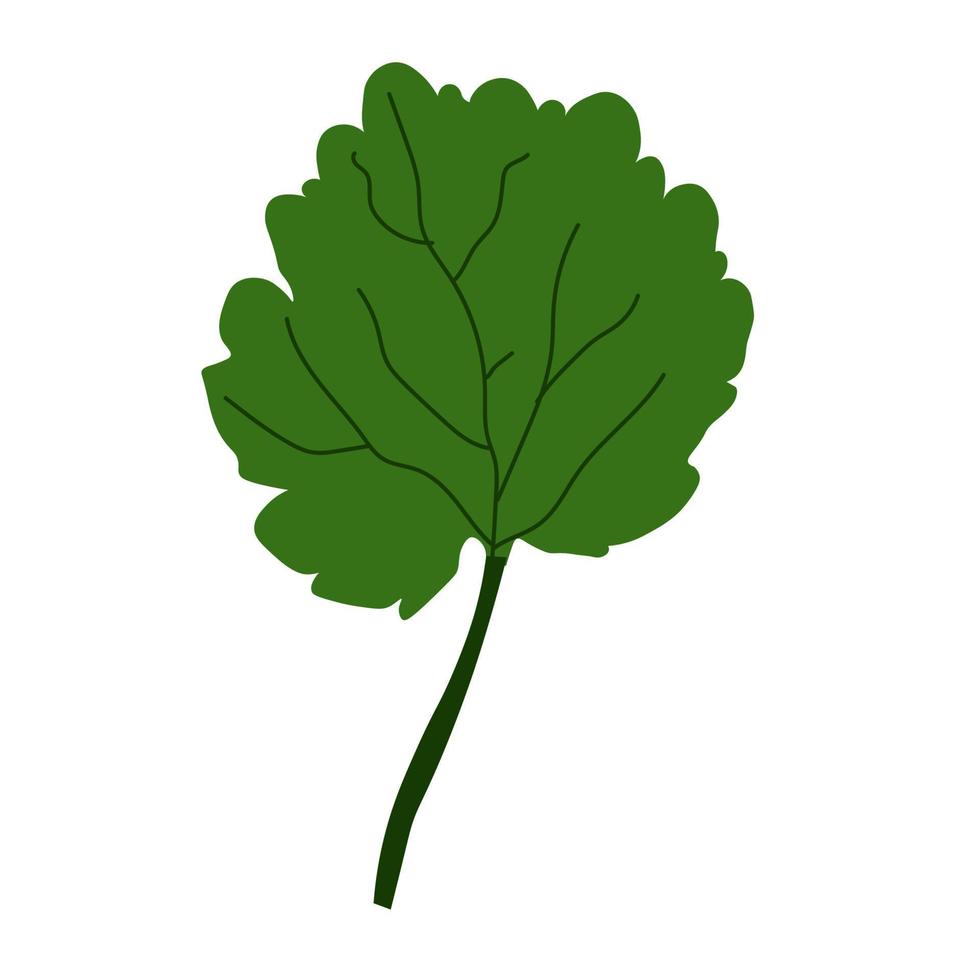 vector illustration of abstract leaf