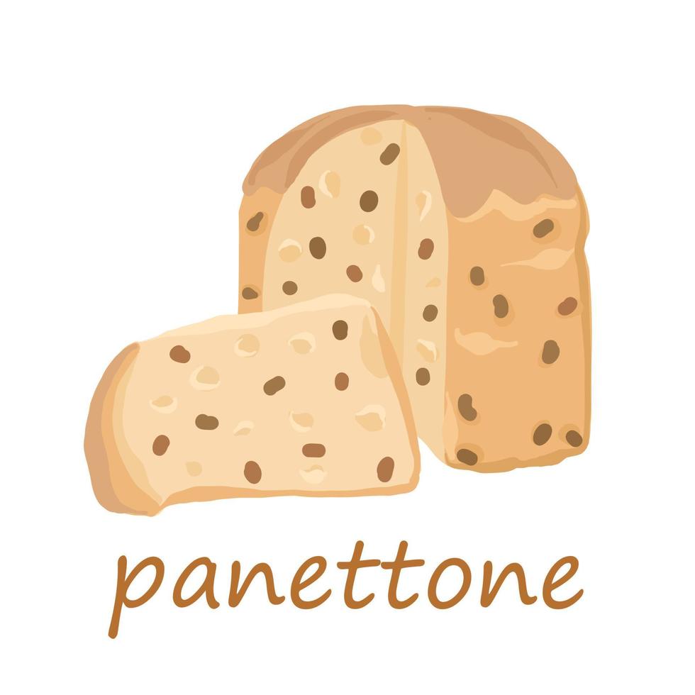 Traditional Italian dessert. Panettone baking for easter and christmas. vector