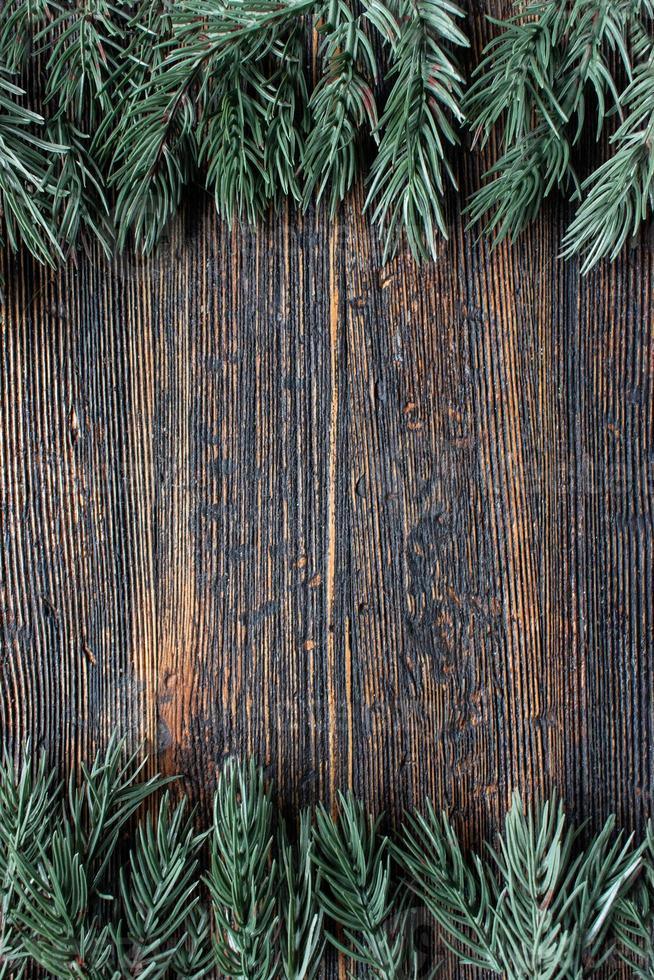 green christmas tree branch border with copy space on rustic wood flat lay photo