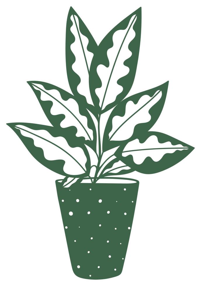 House plant in doodle style. Home flower in pot vector