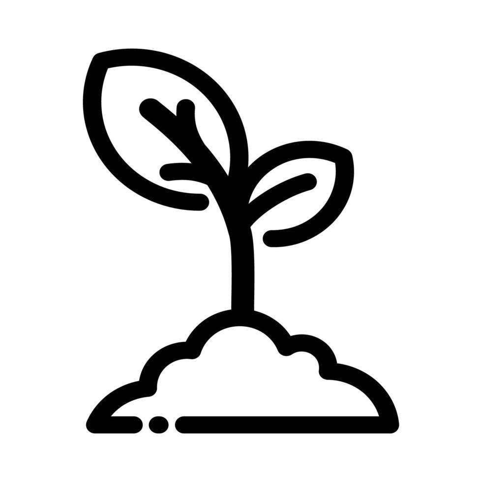 Agriculture and Gardening -Plant vector