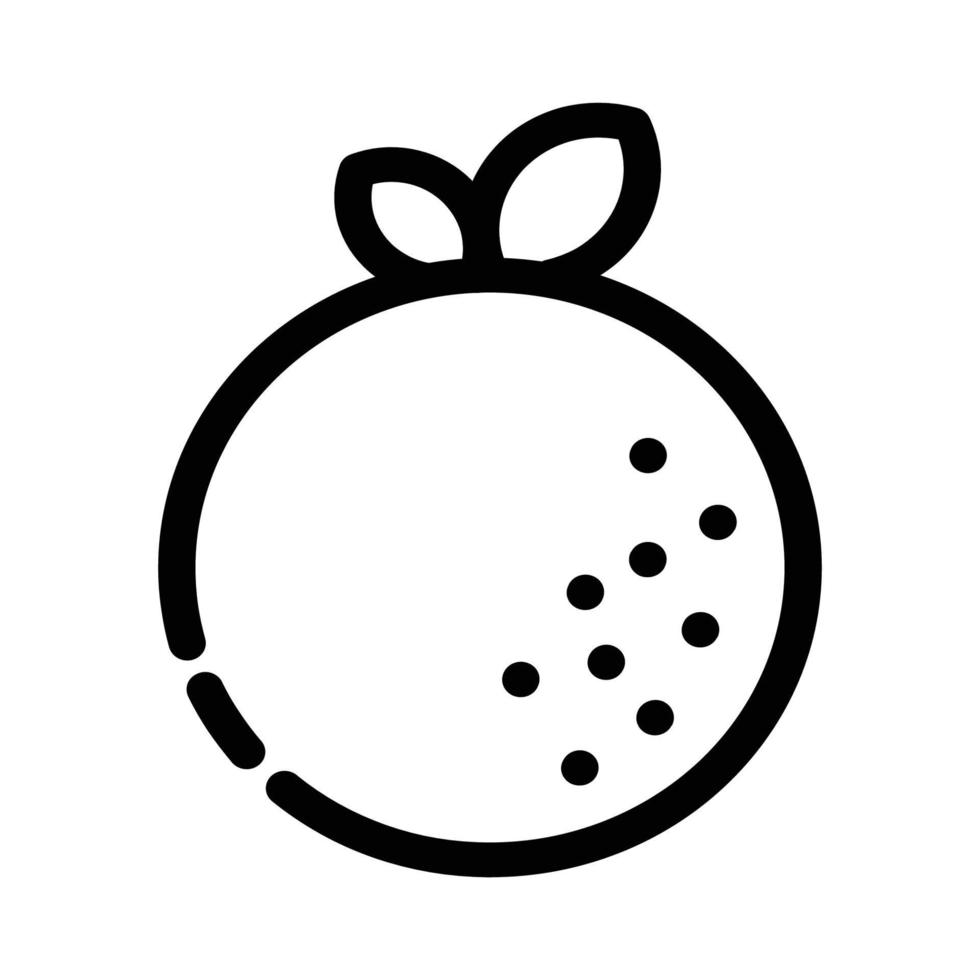 Agriculture and Gardening - Orang Fruit vector