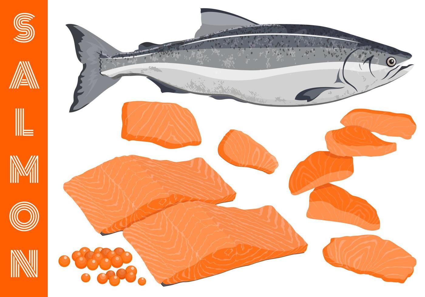 Set fresh raw trout salmon whole fish, caviar, sliced piece, ingredient of fillet steak, Scandinavian Norwegian food, sashimi sushi Japanese style, Pescetarian seafood cooking, healthy nutrition meal. vector