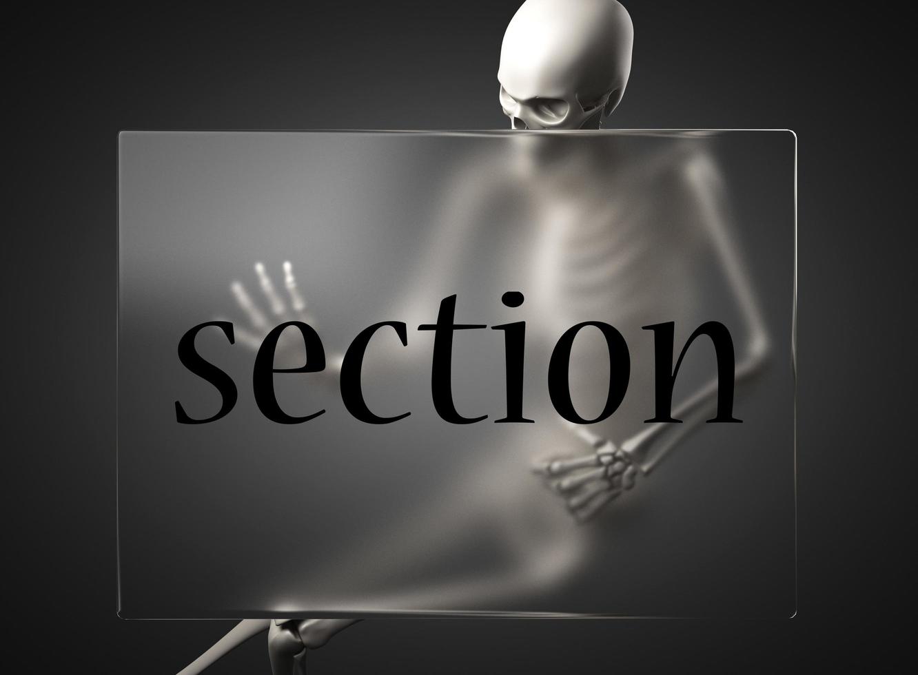 section word on glass and skeleton photo