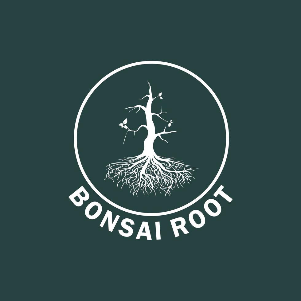 Innovative old bonsai tree logo design with thick roots in the circle frame vector