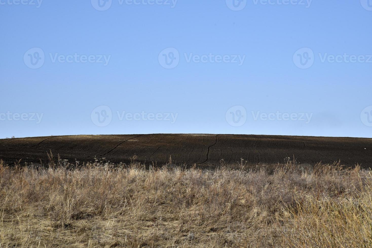 Agricultural arable field in spring and blue sky photo
