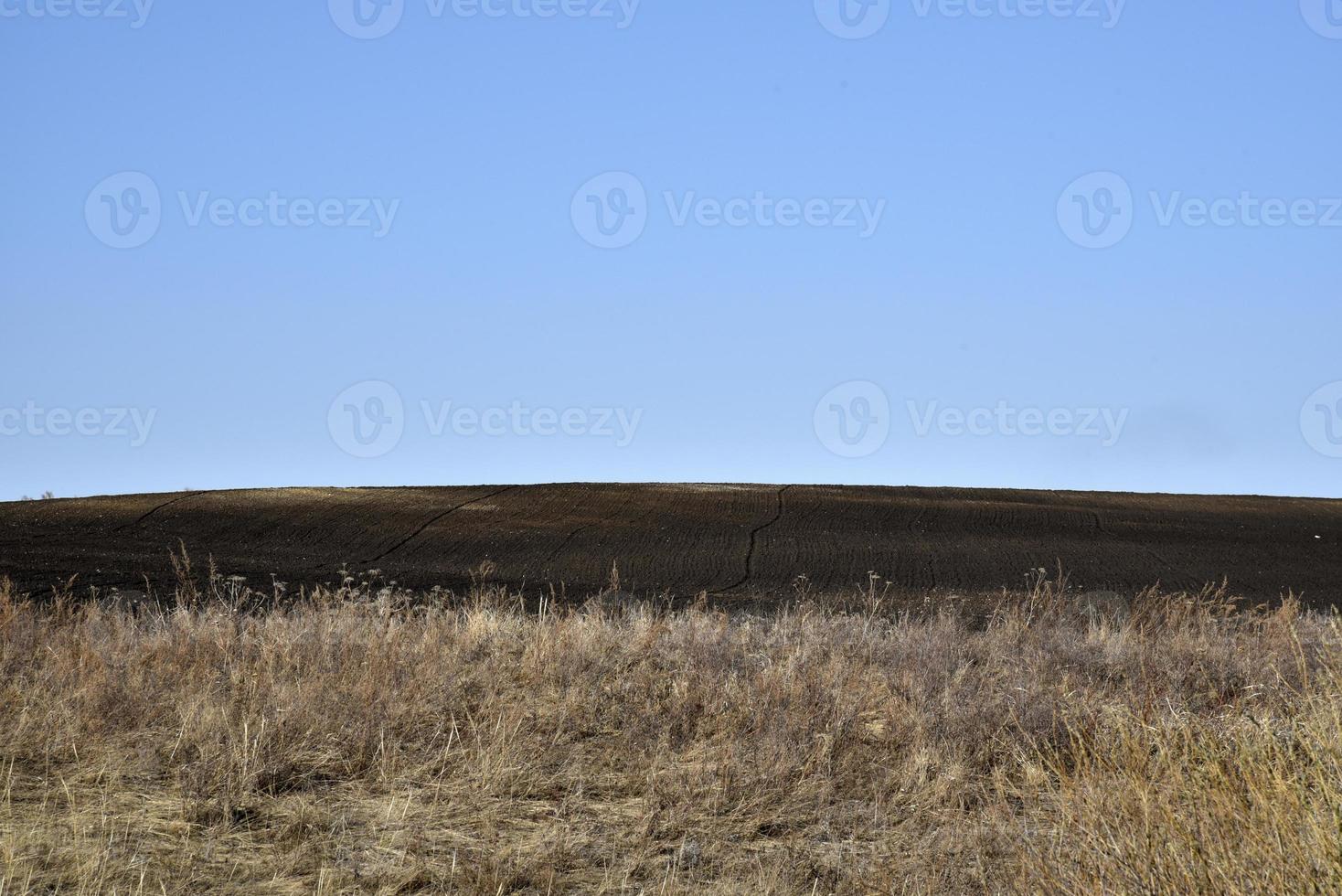 Agricultural arable field in spring and blue sky photo