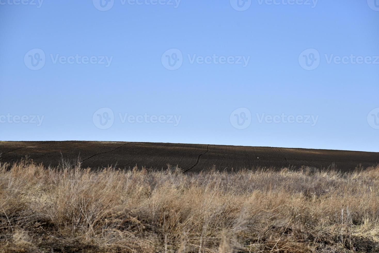 Agricultural arable field in spring and blue sky photo