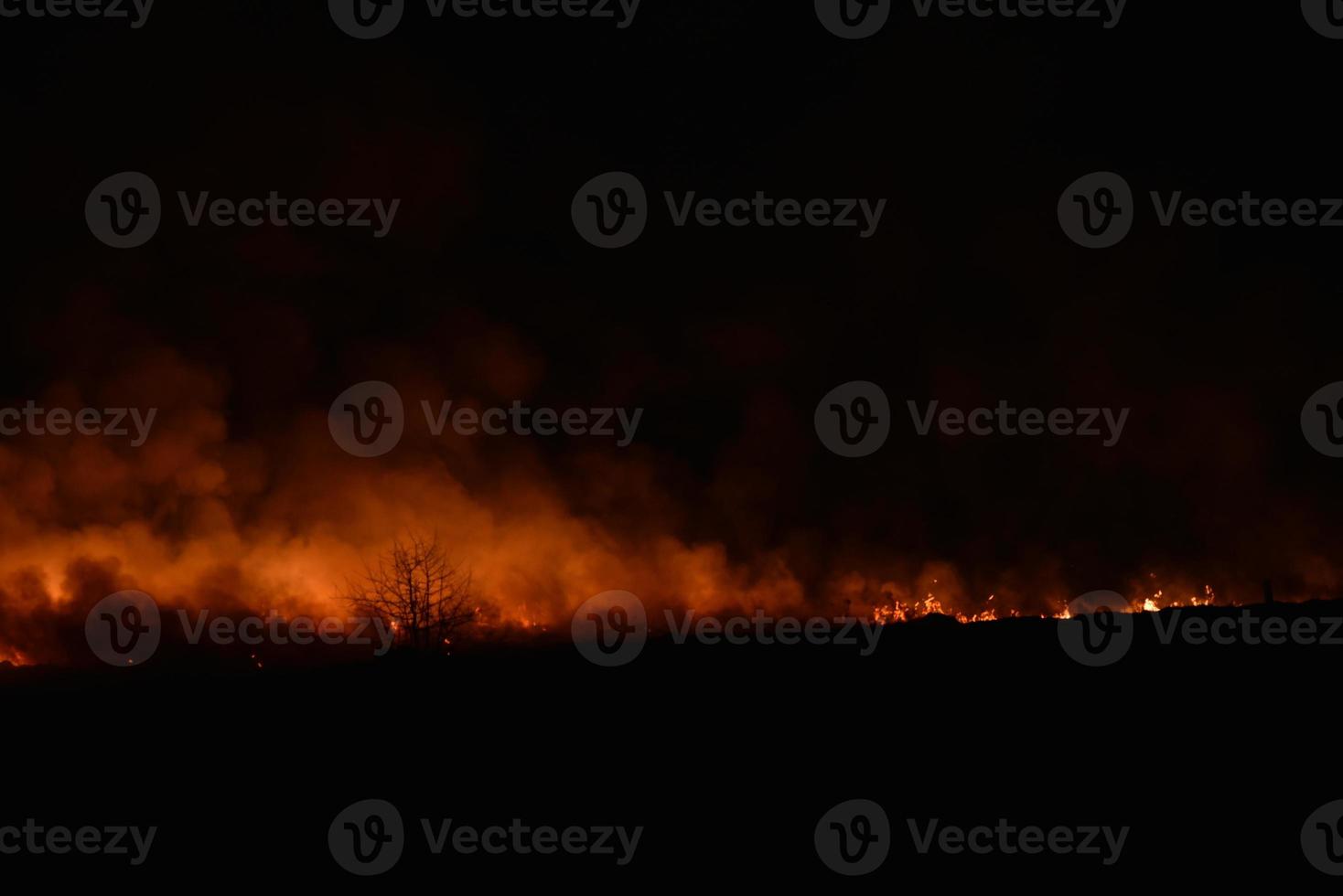 Night fire in a field with fire photo