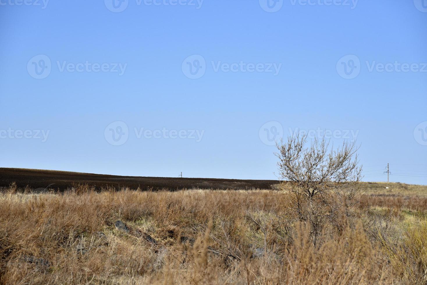 Agricultural arable field in spring and blue sky photo