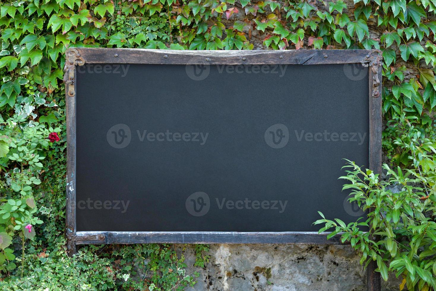 Outdoor rustic chalkboard on stone wall with lots of green plants around. Blank surface for promo menu text presentation photo