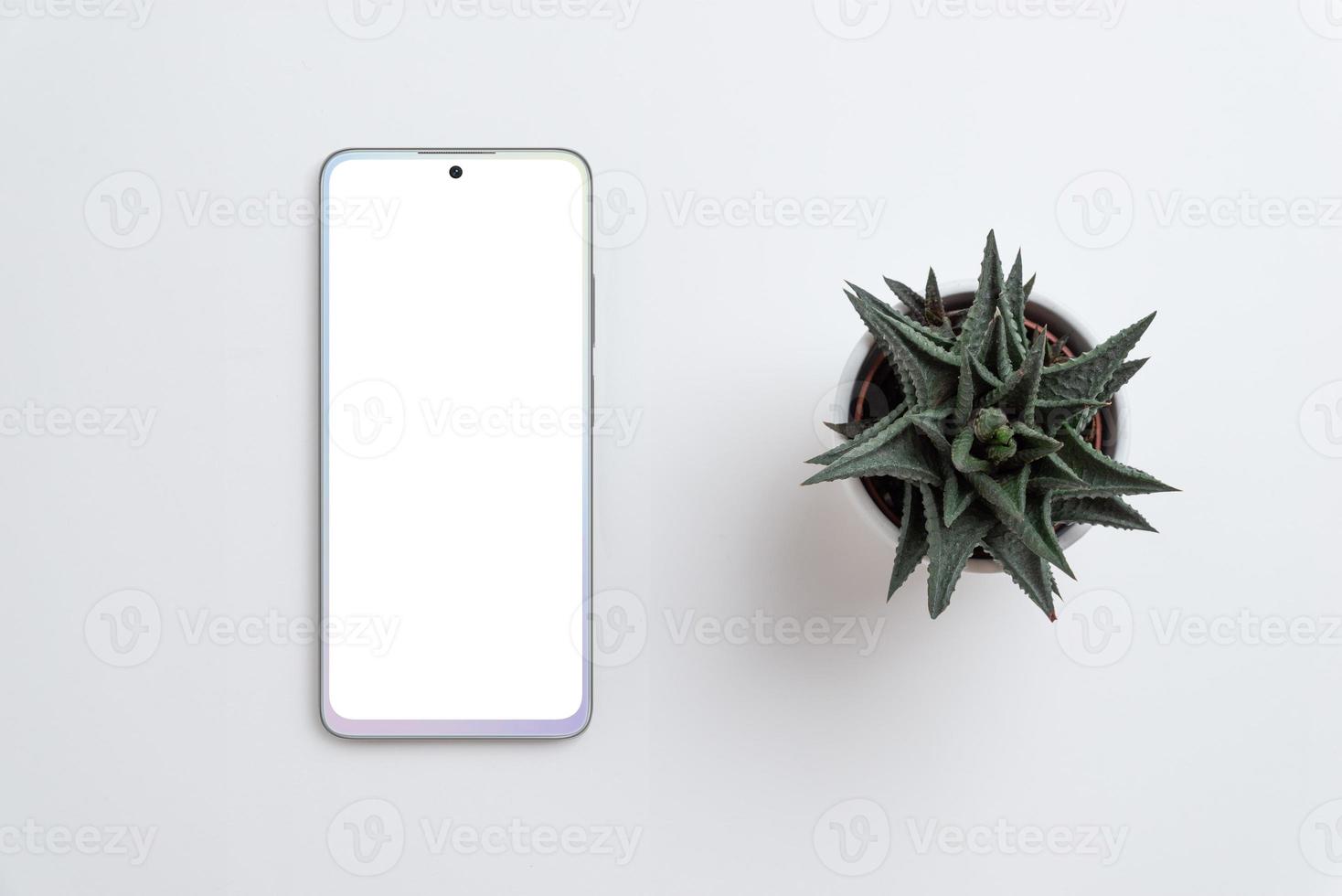 Phone and plant on gray surface. Isolated screen for app design promotion mockup. Top view, flat lay photo