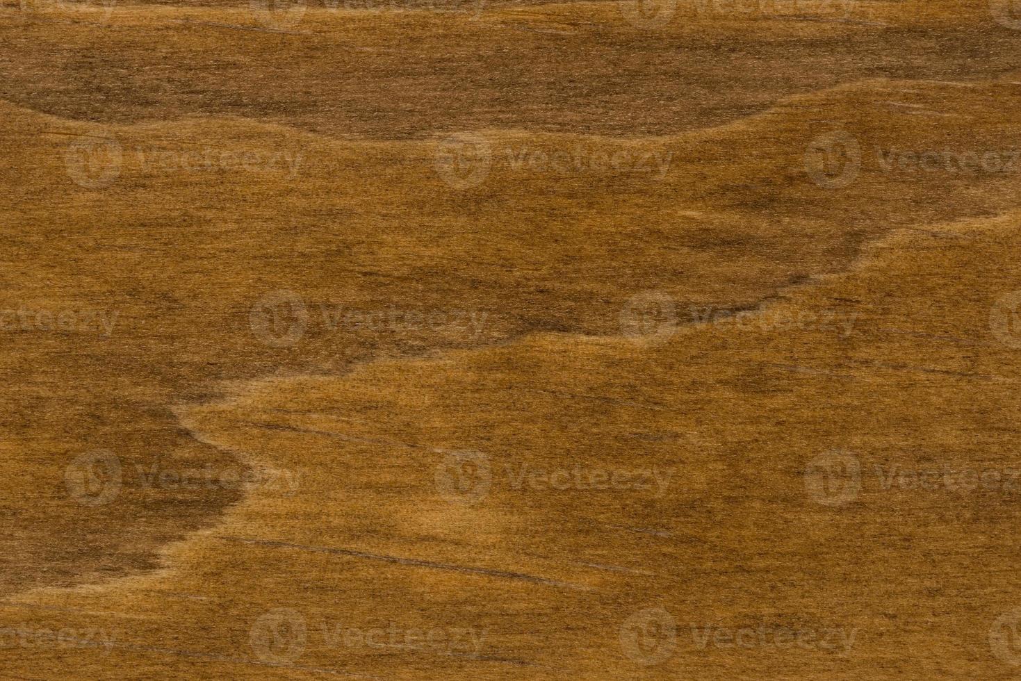 fondo de madera de pino foto