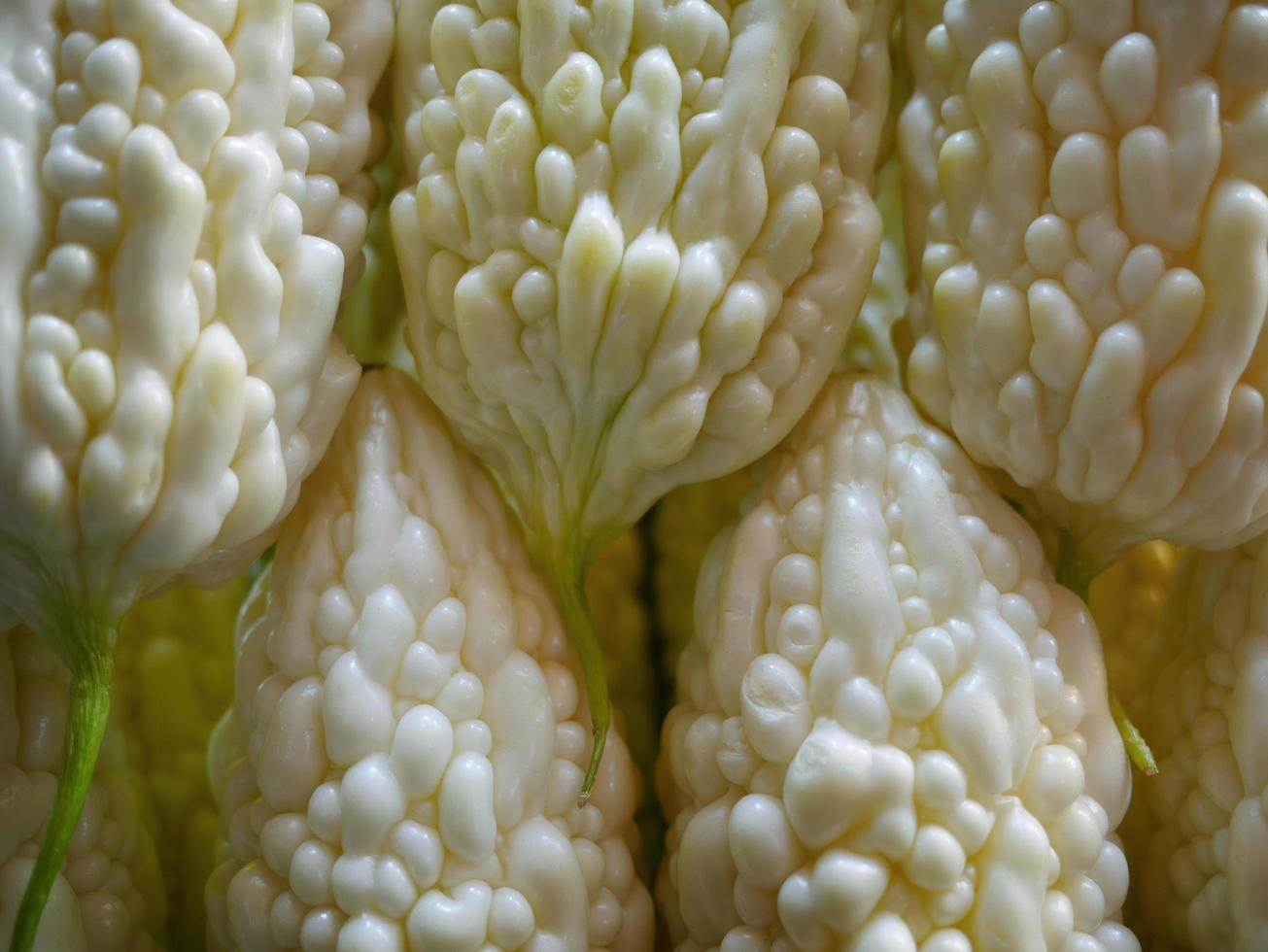 Close up texture Bitter white gourd asian cucumber photo