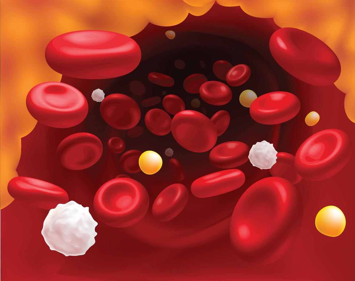 3D Illustration of red blood cells, white blood cells and cholesterol clogging the cause of death. vector