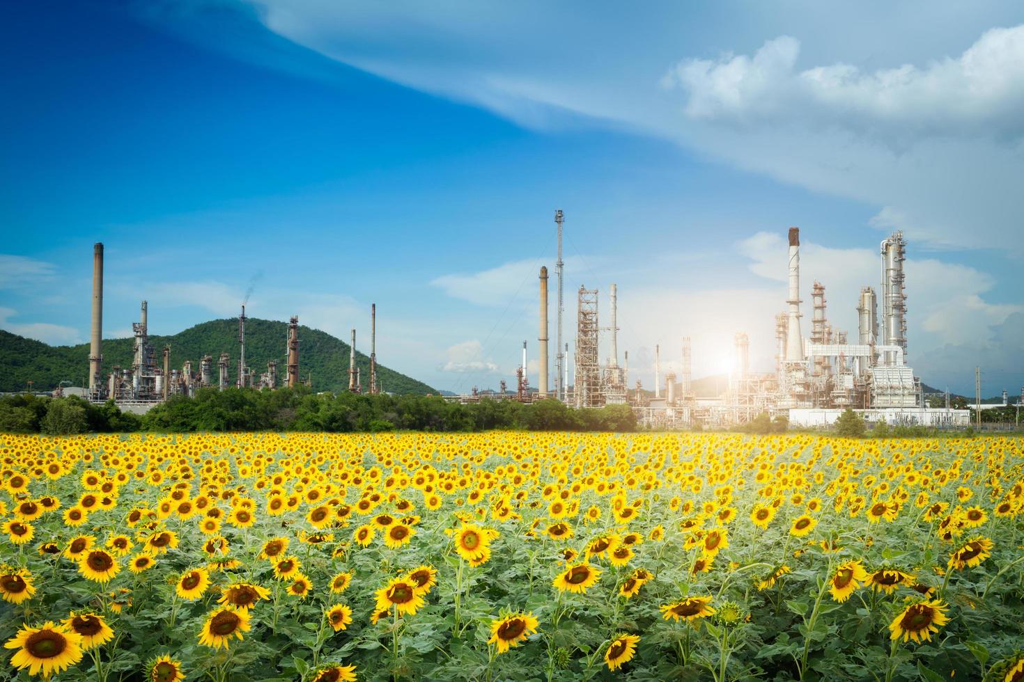 fábrica de refinería de petróleo por la mañana, planta petroquímica, petróleo. foto