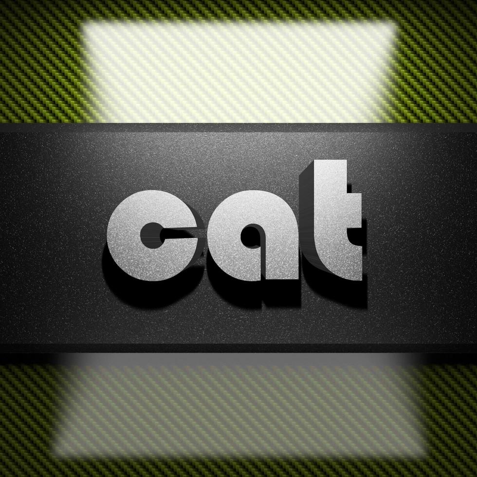 cat word of iron on carbon photo