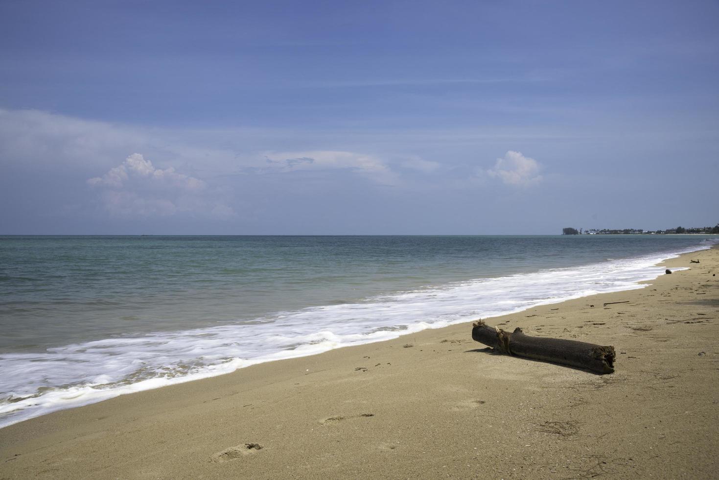 Beautiful beach and a log on the beach photo