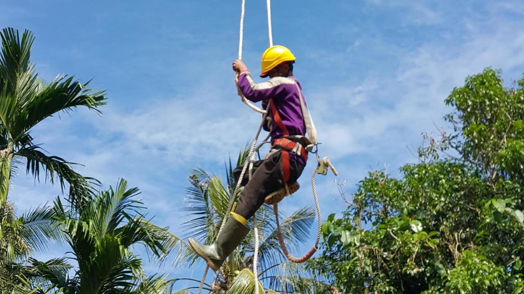 un técnico está reparando la electricidad foto