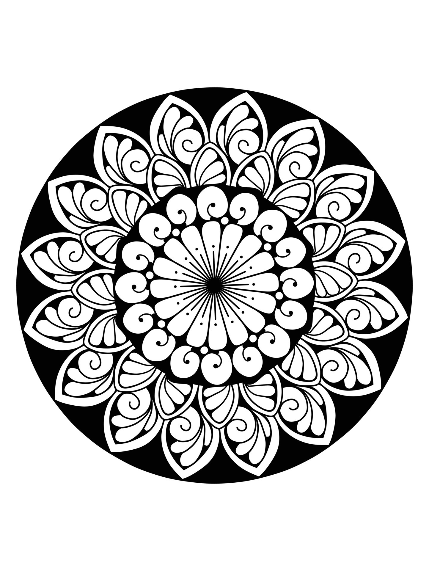 Mandala, highly detailed inspired illustration, black and white. 7615933  Vector Art at Vecteezy