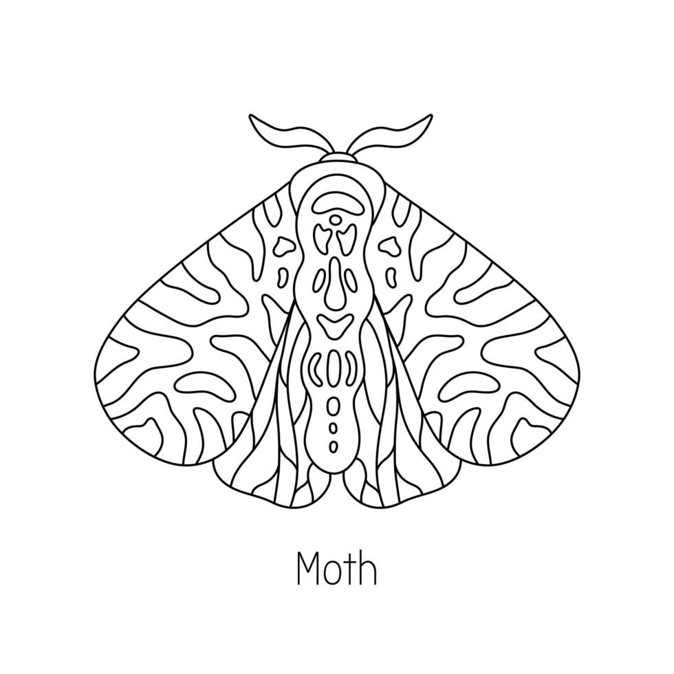 Exotic butterfly, moth. Tropical flying insect line art vector hand drawn isolated illustration. Stylized mystical design element for tattoo, print, cover, book, coloring page