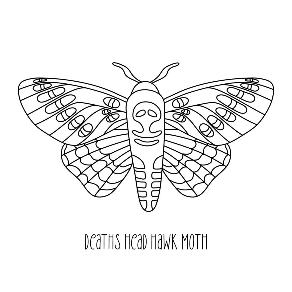 img./free-vector/hand-drawn-death-moth