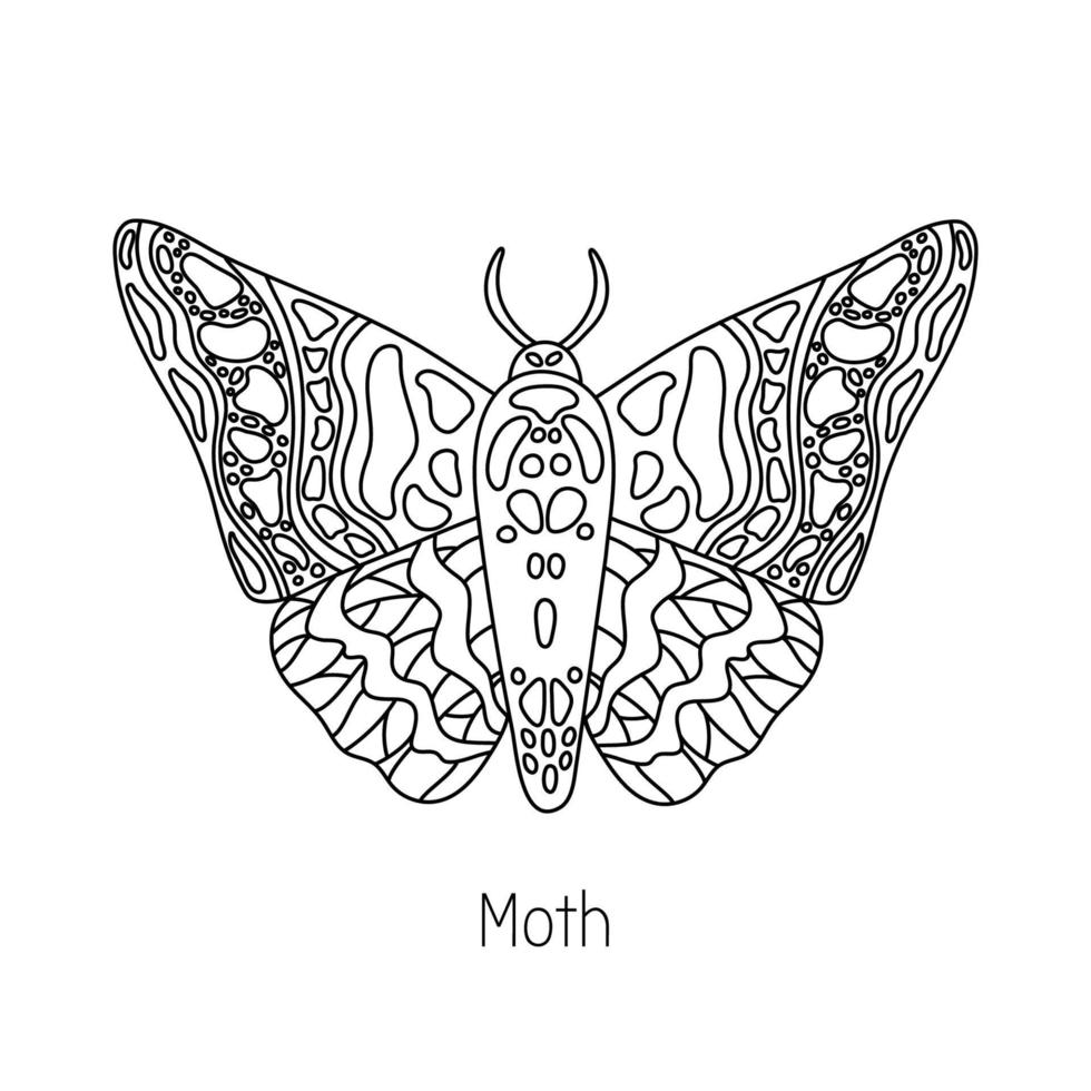 Exotic butterfly, moth. Tropical flying insect line art vector hand drawn isolated illustration. Stylized mystical design element for tattoo, print, cover, book, coloring page