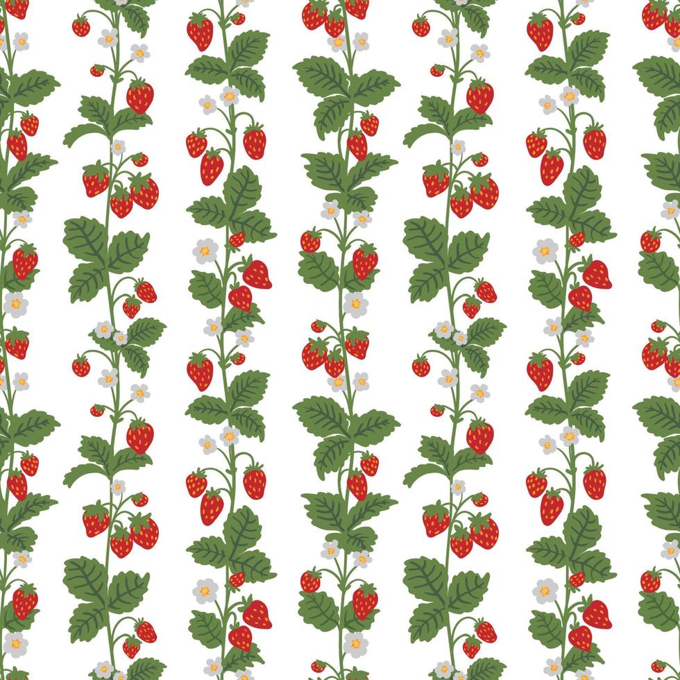 tallo de arbusto de fresas silvestres, patrón sin costuras de vector de látigo. textura dibujada a mano de bayas de bosque de verano para papeles pintados, textiles, papel de regalo, tela, embalaje, tarjetas. fondo de dibujos animados plana fruta linda