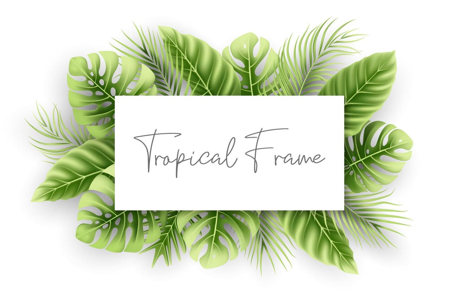 Natural frame with realistic tropical leaves vector