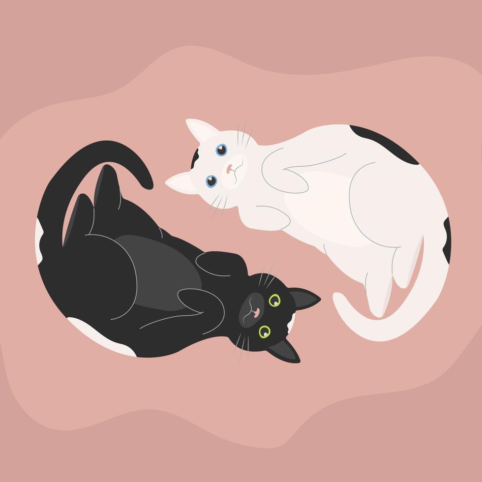 gatos yin yang. lindos gatos blancos y negros en círculo yinyang. ilustración vectorial vector