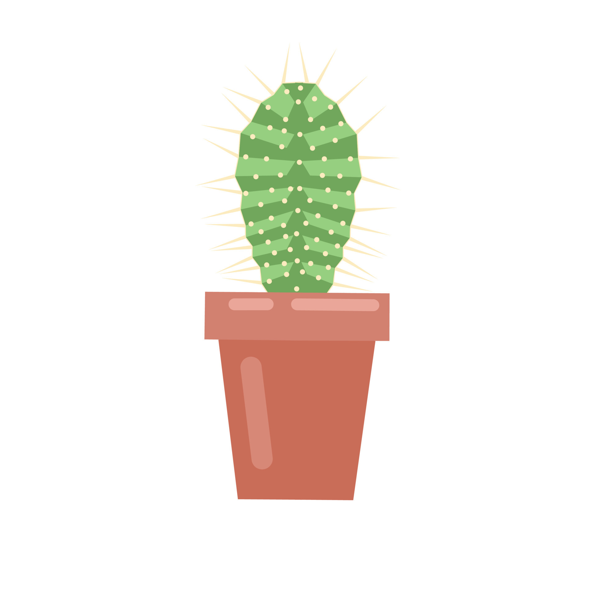 Free Vector, Cute cactus collection in flat design