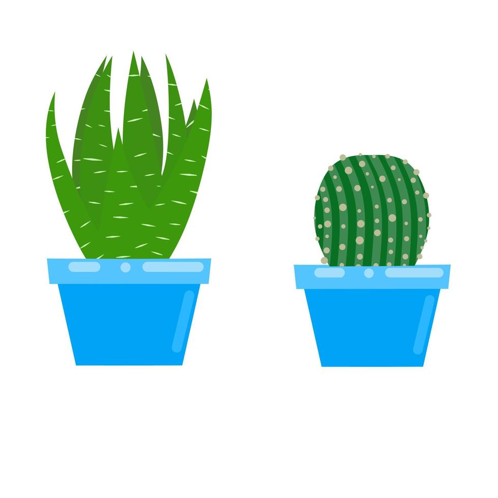 Vector graphics illustration of a cactus flower in a blue pot. Two types of prickly cactus plant on a white background. Perfect for stickers, home decor, children's book covers and web logo designs.