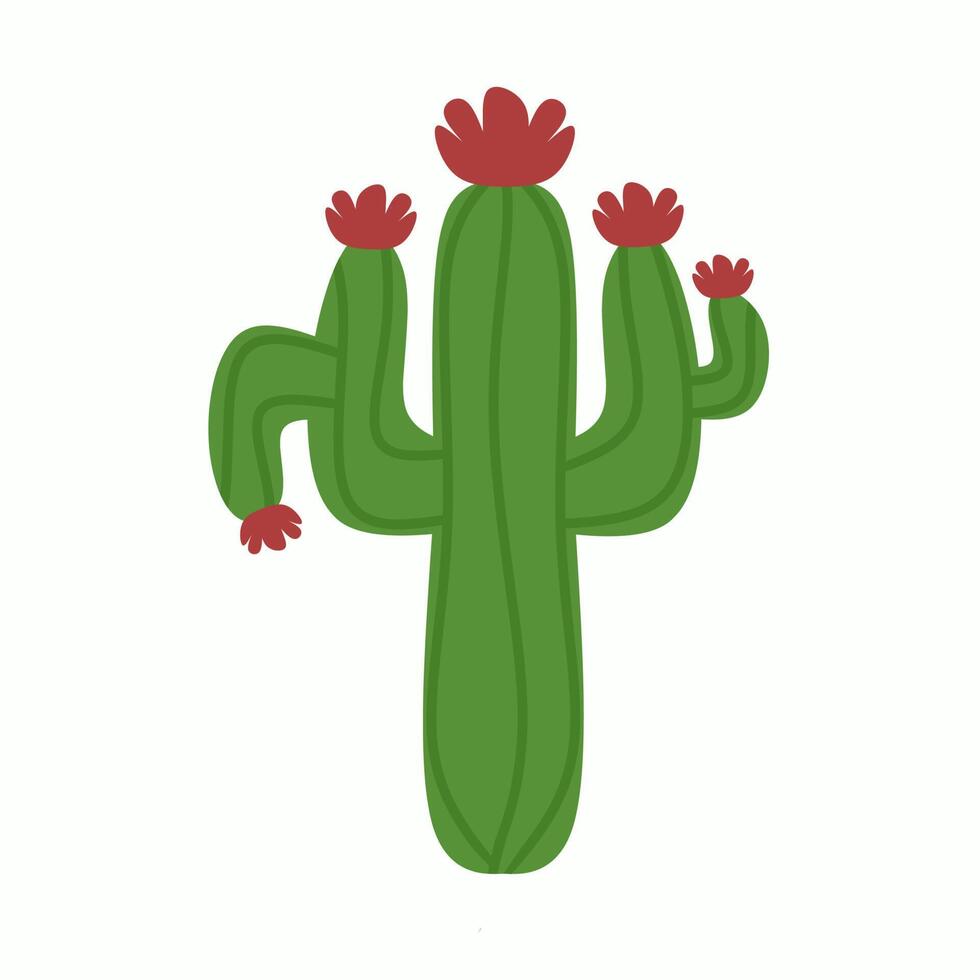 Vector graphics illustration of a red flowered cactus. Cartoon prickly cactus plant. With a white background. Perfect for stickers, home decor, children's book covers and web logos.