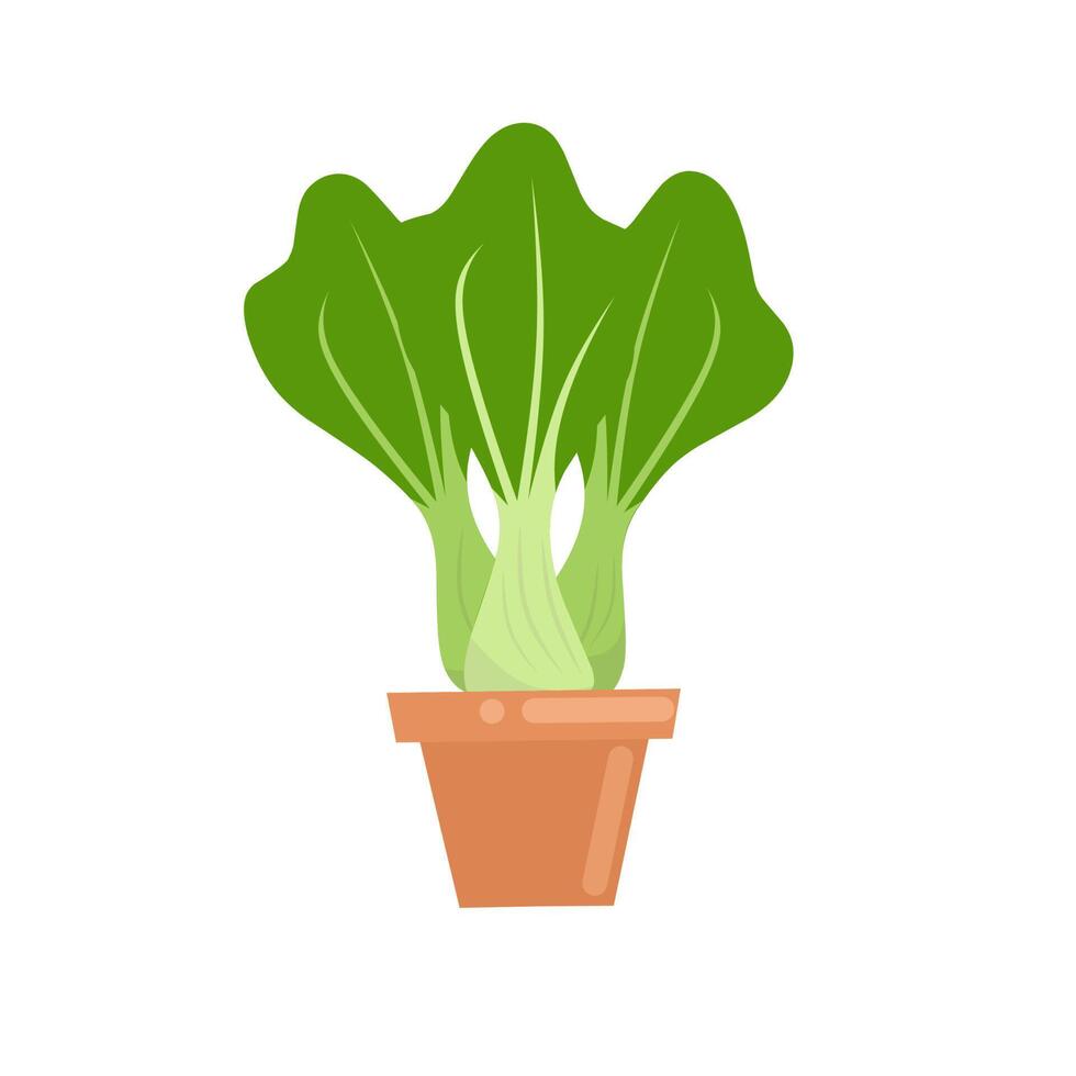 Vector graphic illustration of a mustard plant in a pot. Cartoon mustard greens ready to harvest. With a white background. Great for home decor posters, article images, and food brand images.